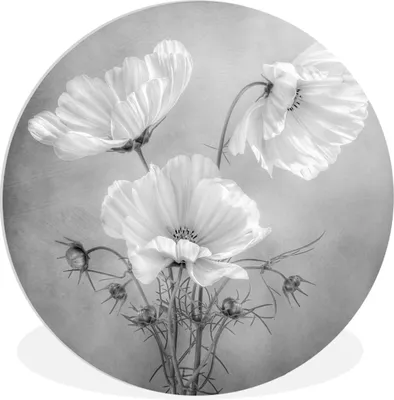 Produktbild von MuchoWow® - Wand-Kreis - Wohnzimmer - Bild - Runde - Wanddeko - Dibond - Kunstdrucke