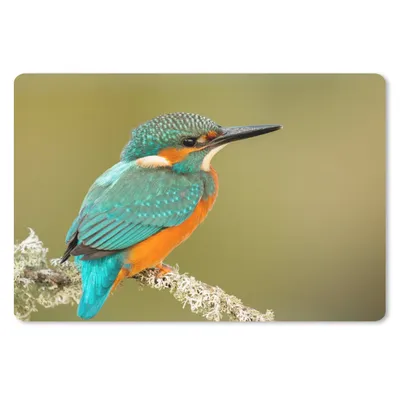 Produktbild von MuchoWow® Mauspad Mousepad Eisvogel - Tiere - Vogel 27x18 cm - Mousepads - Maus Mat - Pad - Mausunterlage - Büroartikel - Desk Matten