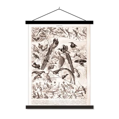 Produktbild von MuchoWow® Textilposter Vogel - Natur - Schwarz - Weiß 90x120 cm mit schwarzem Rahmen - Dekoration
