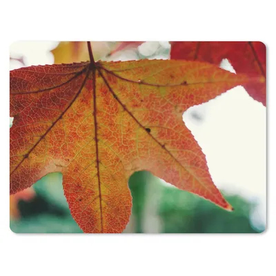Produktbild von MuchoWow® Mauspad Mousepad Herbst - Landleben - Blätter - Jahreszeiten - Landleben 23x19 cm - Mousepads - Maus Mat - Pad - Mausunterlage - Schreibtischunterlage - Mauspad