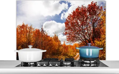 Produktbild von KitchenYeah®  Spritzschutz Küche - Küchenrückwand - Wandschutz für Herd und Spüle - Baum - Weg - Herbst 100x65 - Alu-Dibond (Alternative zum Spritzschutz aus Glas) - Hitzebeständig - Herdspritzschutz