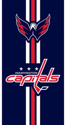 Immagine prodotto di Asciugamano in spugna NHL Washington Capitals Prestige 70x140 cm