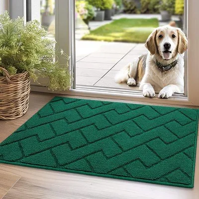 Produktbild von Unyqoos® waschbare rutschfeste Fußmatte für drinnen und draußen, schmutzabweisend, saugfähig, 50 x 80 cm, grün