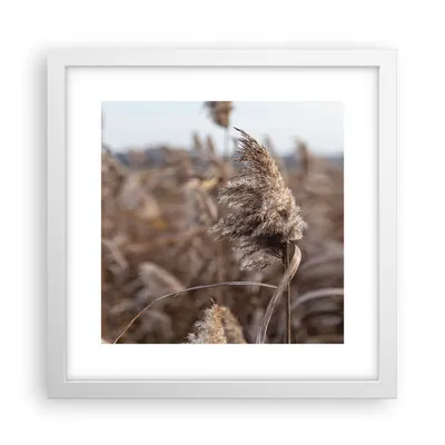 Produktbild von Gerahmtes Poster - Weißer Rahmen - Boho Ähren Gras - 30x30 cm - Wand Bild - Wanddeko - Wandbilder - Kunstposter - Wandposter - Bilderrahmen - Bilder - Kunstdruck - Wanddekoration - P2WAC30x30-4763