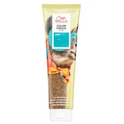 Obrázek produktu pro Maska na vlasy Color Fresh Mask 150 ml, Mint