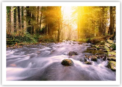 Produktbild von Poster - Poster ohne Rahmen - Herbst Wald Berg Fluss - 100x70 cm - Wand Bild - Wanddeko - Wandbilder - Kunstposter - Wandposter - Bilder - Kunstdruck - Wanddekoration - Wandbild - P2XAA100x70-0504