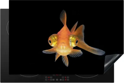 Produktbild von KitchenYeah© Herdabdeckplatte Goldfisch - Meerestiere - Augen , 81x52cm, Küche Deko, Glaskeramikkochfeld Herdabdeckung, Abdeckplatte fùr Kochfeld