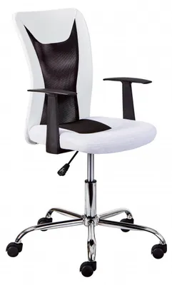 Obrázek produktu pro Ergonomická kancelářská židle s opěrkami a nastavitelnou výškou
