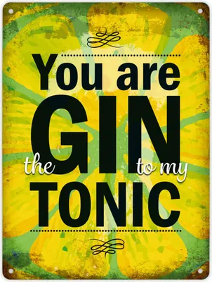 Produktbild von Metallschild XL mit Spruch: You are the Gin to my Tonic Schild Blechschild