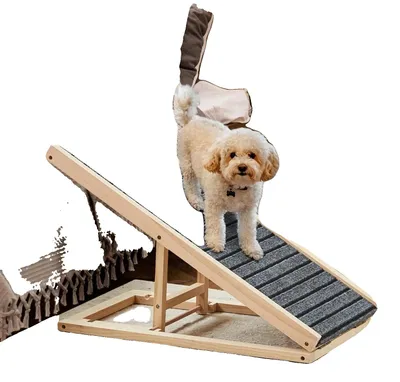 Immagine prodotto di Rampa per animali domestici, altezza regolabile, superficie antiscivolo, rampa per animali domestici - 2 altezze