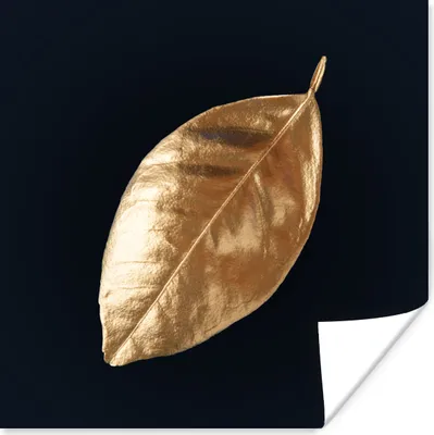 Produktbild von MuchoWow® Poster Blätter - Schwarz und Gold - Luxus - Natur - Pflanzen 50x50 cm - Wohnzimmerdekoration