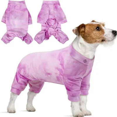 Image de Pyjama pour chien - Pull pour chien - Vêtements pour chiens, doux et chauds