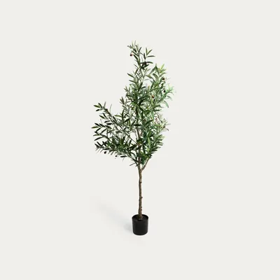 Obrázok produktu pre HOMLA Umelá rastlina VIRIDIS – Olivovník, 15 x 140 cm
