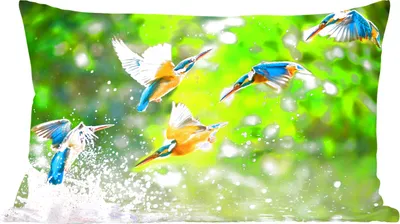 Produktbild von MuchoWow® Zierkissen Sofakissen Wohnzimmer Dekokissen 50x30 cm Eisvögel fliegen im Wasser - Wohnzimmerdekoration - Polster mit Photo