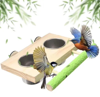Produktbild von Vogelfutterstation Edelstahl mit Sitzstange und Wassernapf für Papageien und Sittiche