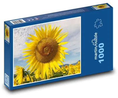 Obrázok produktu pre Puzzle 1000 Krása Slnečných Kvetov - martinpuzzle