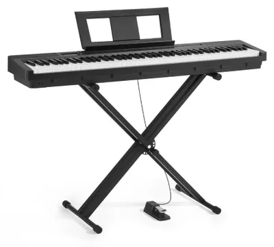 Obrázek produktu pro Digitální klavír s 88 klávesami, plně váženými – elektrické piano s duálním klaviaturním systémem