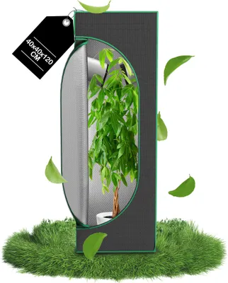 A grow tent with a plant inside, surrounded by grass and floating leaves.
