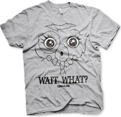 Produktbild von Gremlins - Wait. What? T-Shirt - X-Large - HeatherGrey