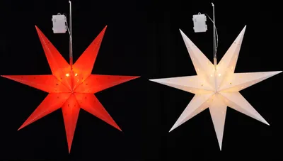 Produktbild von Weihnachtsstern in weiß oder rot
