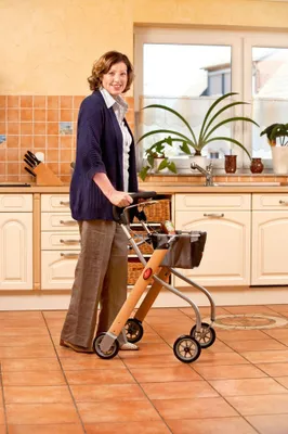Produktbild von Trust Care Indoor Rollator Let's Go silber schwarz