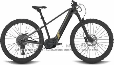 Immagine prodotto di Conway Elektro-MTB-Hardtail Cairon S 2.0 500 Mod. 24 ebike con.cairon s2.0 500 29 49 diam.9sp gr deserto