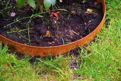 Produktbild von Rasenkanten Baumring Pflanzring Edelrost Metall Kreis Ø 75 cm x 24 cm Corten - 1er