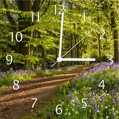 Produktbild von Wallario Design Wanduhr Blaues Hasenglöckchen im Sommerwald aus Echtglas, Größe 30 x 30 cm