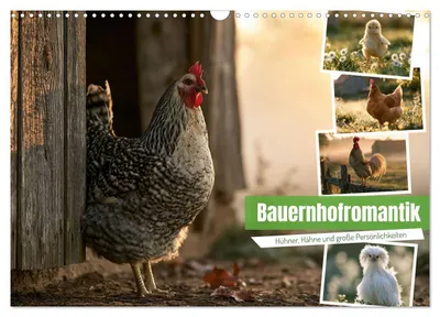 Produktbild von Bauernhofromantik (Wandkalender 2027 DIN A3 quer), CALVENDO Monatskalender