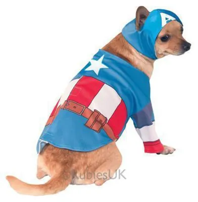 Produktbild von Rubie's 3580070 - Captain America Hundekostüm, L