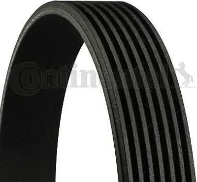 Produktbild von Continental ContiTech 7PK1051 ELAST Keilrippenriemen für DACIA DUSTER 1051mm