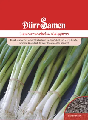 Produktbild von Dürr-Samen - Lauchzwiebeln winterhart - Saatgut - 0983