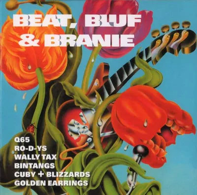 Obrázek produktu pro Beat, Bluf & Branie