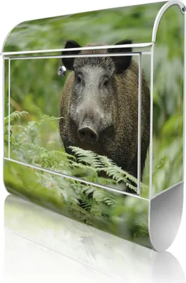 Produktbild von banjado Design Briefkasten Stahl weiß mit Zeitungsfach pulverbeschichtet "Wildschwein" 38x46x12,5cm & 2 Schlüssel - Postkasten A4 Einwurf inkl. Montagematerial [BKW 10495]