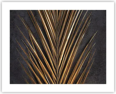 Produktbild von Poster - Poster ohne Rahmen - Blatt golden schwarz - 50x40 cm - Wand Bild - Wanddeko - Wandbilder - Kunstposter - Wandposter - Bilder - Kunstdruck - Wanddekoration - Wandbild - P2XAA50x40-5091