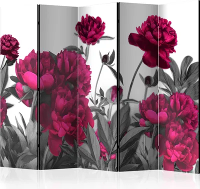 Immagine prodotto di Paravento monofacciale Fiori 225x172 cm 5 pezzi viola