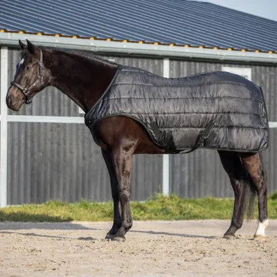 Immagine prodotto di Coperta per cavalli QHP, modello "Glitter", 100 grammi