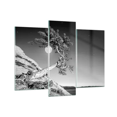 Produktbild von Bilder auf glas - 3 Teile - Voll der Mond Baum - 130x100cm - Glasbilder - Wandbilder - Bilder - zum Aufhängen bereit - Wanddekoration aus Glas - Glas Bilder - Wandbild auf Glas - GCB130x100-4689