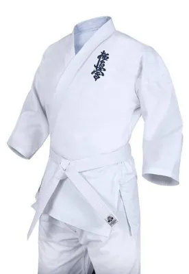 Imagen del producto de BUSHIDO - Kimono de karate Kyokushin, modelo DBX, referencia DBX-KK-1, talla 120 cm