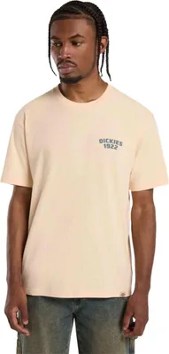 Productafbeelding van T-shirt Dickies DK0A4Z96K531 voor Uni