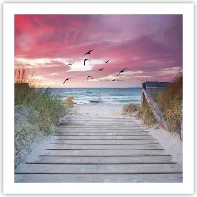 Produktbild von Poster - Poster ohne Rahmen - Strand Sand Vögel - 60x60 cm - Wand Bild - Wanddeko - Wandbilder - Kunstposter - Wandposter - Bilder - Kunstdruck - Wanddekoration - Wandbild - P2XAC60x60-4994