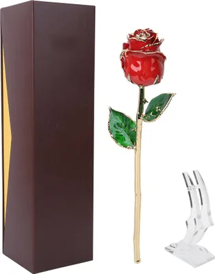 Immagine prodotto di Rosa dorata, rossa, 24 carati, con base, decorazione regalo per San Valentino, compleanno