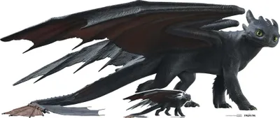 Produktbild von Drachenzähmen - Live Action - Ohnezahn - Pappaufsteller 82x195