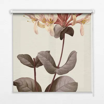 Produktbild von Seitenzug-Rollo Fensterrollo Jalousie - Lichtdurchlässig Springrollos - 130x180 cm - Fallende Blume