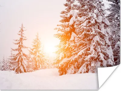 Produktbild von MuchoWow® Poster Sonne - Bäume - Schnee 120x90 cm - Wandbild