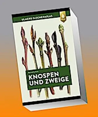 Obrázek produktu pro Knospen und Zweige