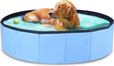 Zdjęcie produktu dla Basen z antypoślizgowego PVC 80 x 20 cm – niebieski – przenośny i wytrzymały – dla dużych i małych psów
