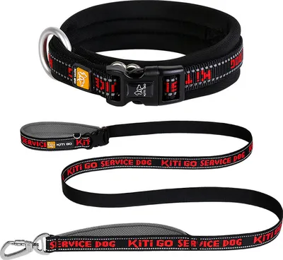 Image de INF Set de collier et laisse pour chien S
