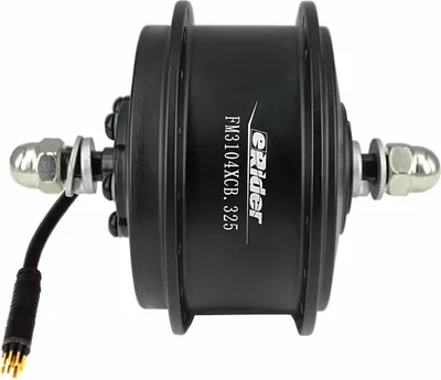 Immagine prodotto di motore eRider e-bike 36V 250W motore a rotore interno anteriore e-bike moto