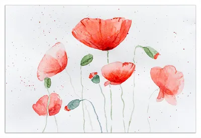 Produktbild von Wallario selbstklebendes Poster - Mohnblumen in Aquarell, Größe: 61 x 91,50 cm